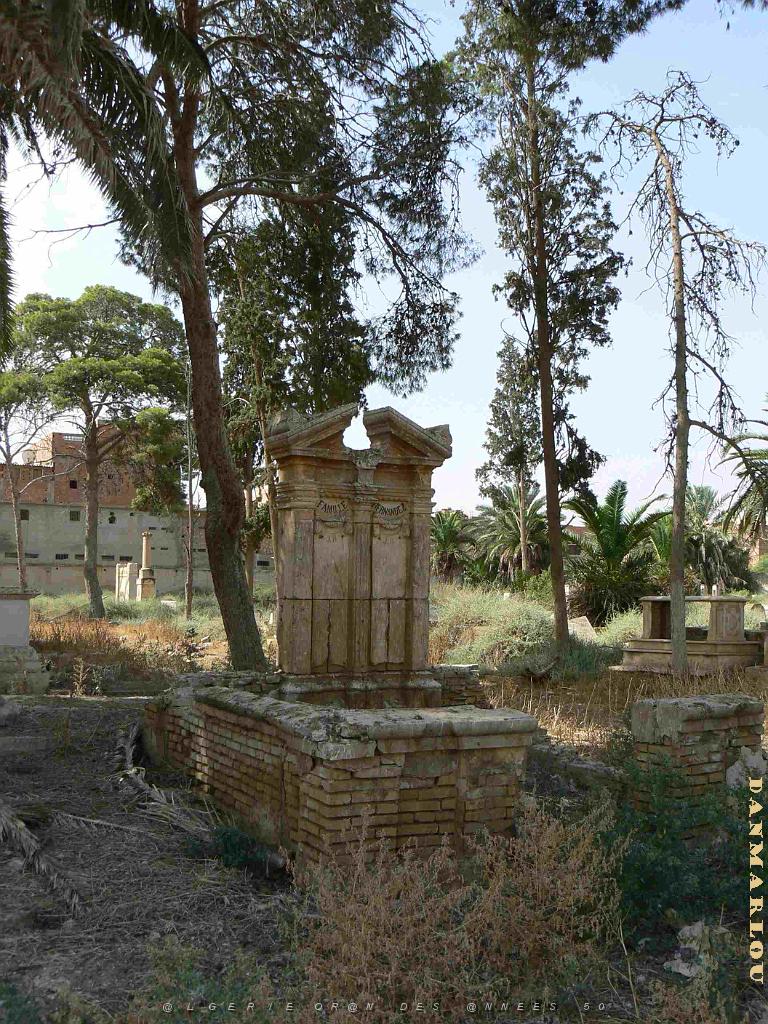 RELIZANE 2009 le cimetiere  (32).jpg